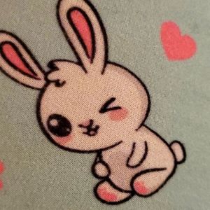 Meet your Posher, Ana